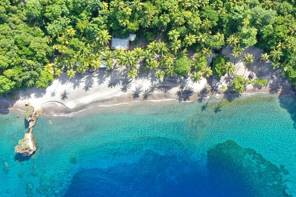 Anse Chastanet Resort Soufriere Thiên nhiên bức ảnh